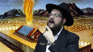 הכוח העצום של האישה - הרב שניאור אשכנזי