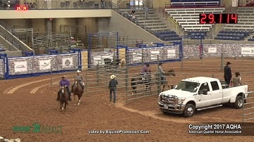 2017 Select Ranch Sorting