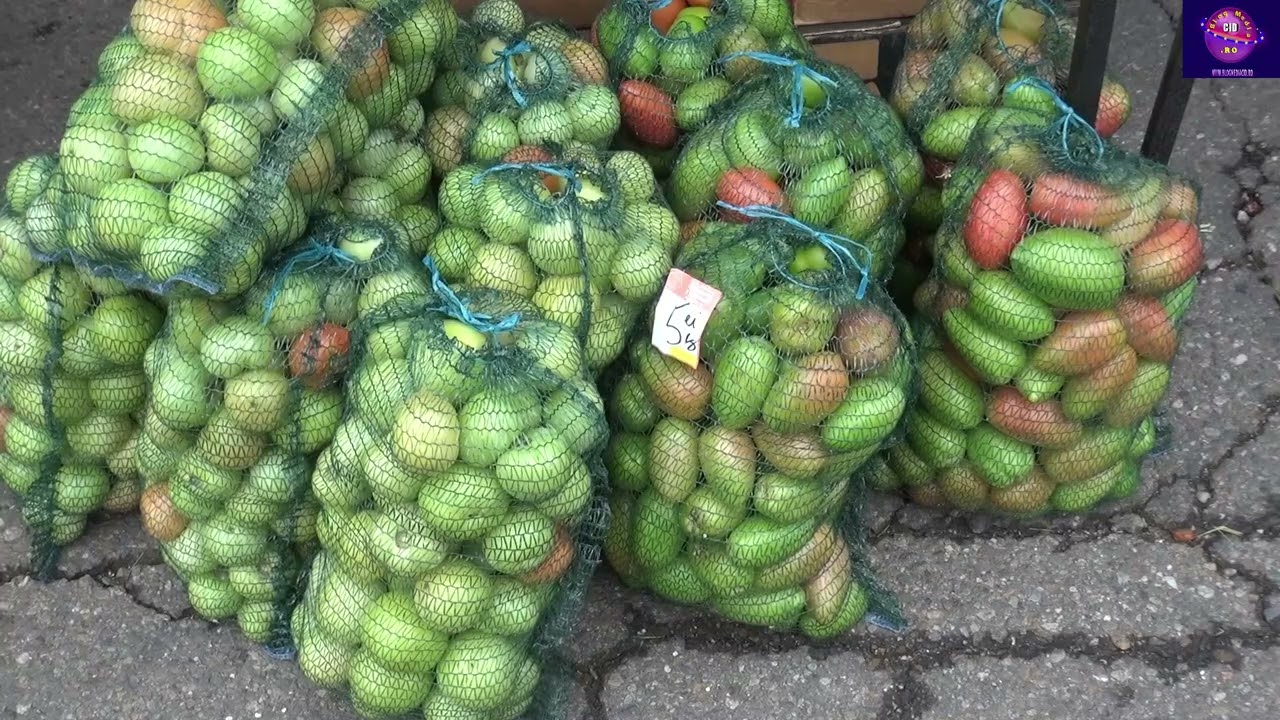 Zilele Recoltei la Reșița