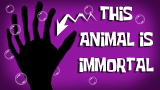 This Strange Biological Process Grant Immortality - Secret of Eternal Youth