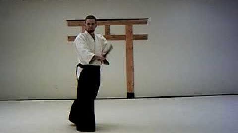 AIKIDO - bokuto sayu undo