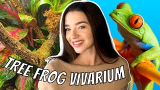 I Made a BIOACTIVE Vivarium for a Tree Frog, Here’s How!