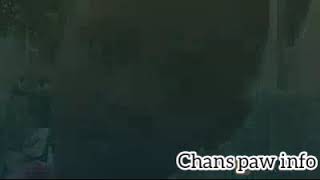 Poukisa Pagè fè grasye sa, papa pyè