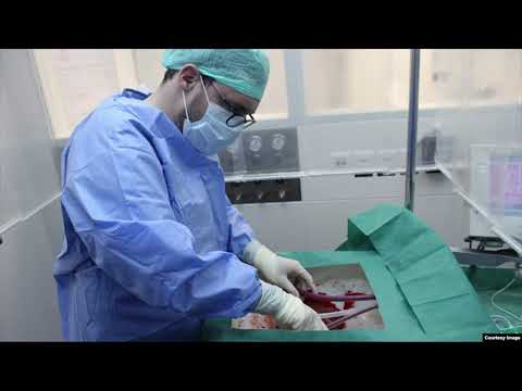 Study: New Machine Keeps Livers Alive for Full Week Outside the Body- máy giúp cho gan ngoài cơ thể