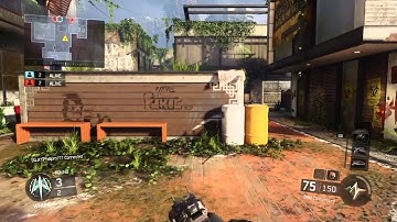 Black Ops 3 Wall Hacker Exposed