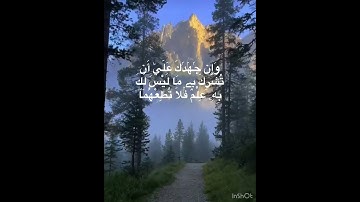 سورة لقمان بصوت ملائكي مع القارئ عبدالعزيز سحيم