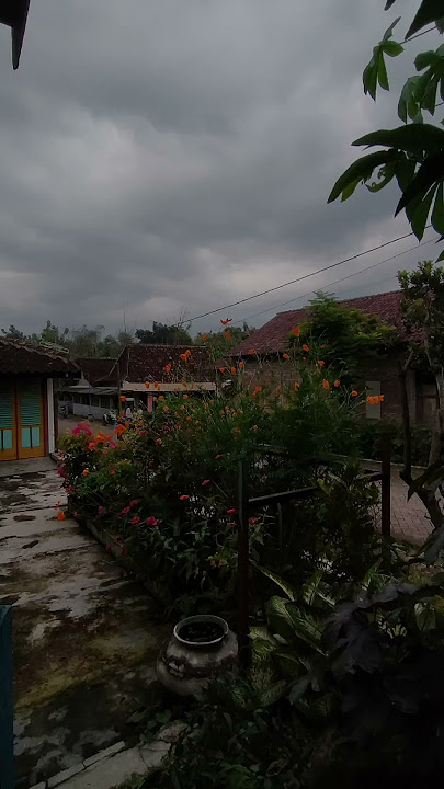story wa lirik lagu wingi aku tenanan sayang karo kowe nanging ngopo sayangku dinggo dolanan kowe