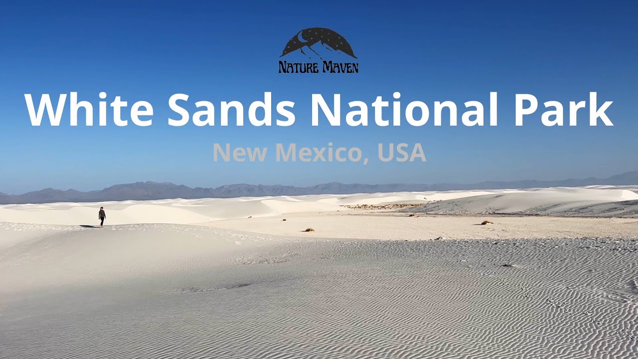 White Sands National Park | Virtual Naturalist Tour