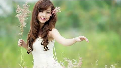 Dynamic Fast Slides | After Effects Openers - Envato elements