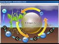 Biogeochemical Cycles and Their Impact on Earth's Environment