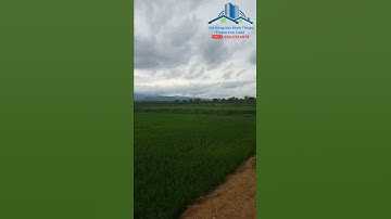 Cần bán 1400m² đất xã Hàm Chính, huyện Hàm Thuận Bắc, tỉnh Bình Thuận (Hotline/Zalo 034.430.6879)