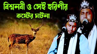 বিশ্বনবী ও সেই হরিণীর কষ্টের ঘটনা | Mawlana mehebub alam | Bangla waz | mehebub jalsa