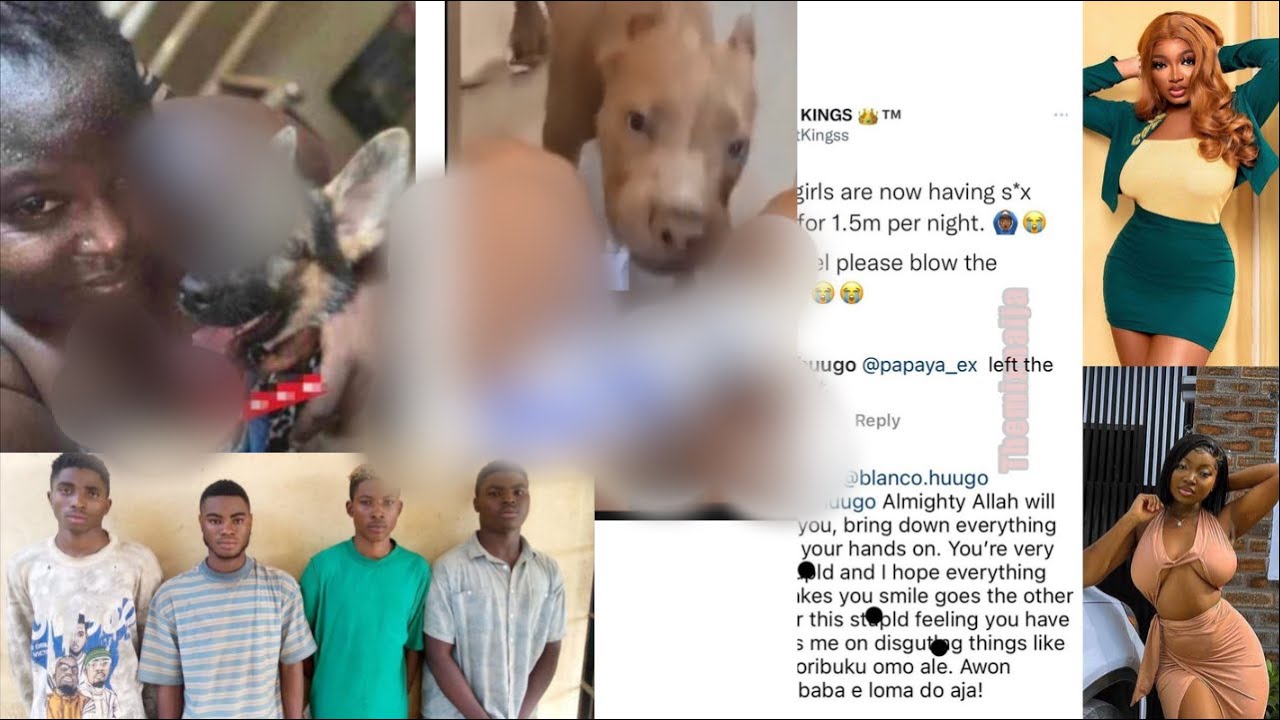 Lekki Babe With Dogs Yahoo Boys Don k!II another Girl Rick Ross