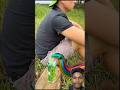 Bushcraft Skills #bushcraft #survival #camping #outdoors #forest #shorts