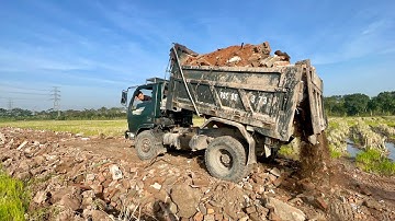 Ô tô tải hoa mai  chở đất lùi cực hay đổ ben | Máy xúc volvo 55b xúc đất lên xe ben công nông