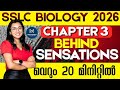 Biology Final Exam: Chapter 3 Behind Sensations | Eye & Ear Structure
