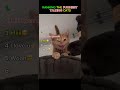 Ranking the funniest talking cats #shorts