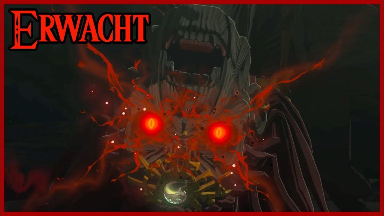 02 Erwacht Zelda Tears of the