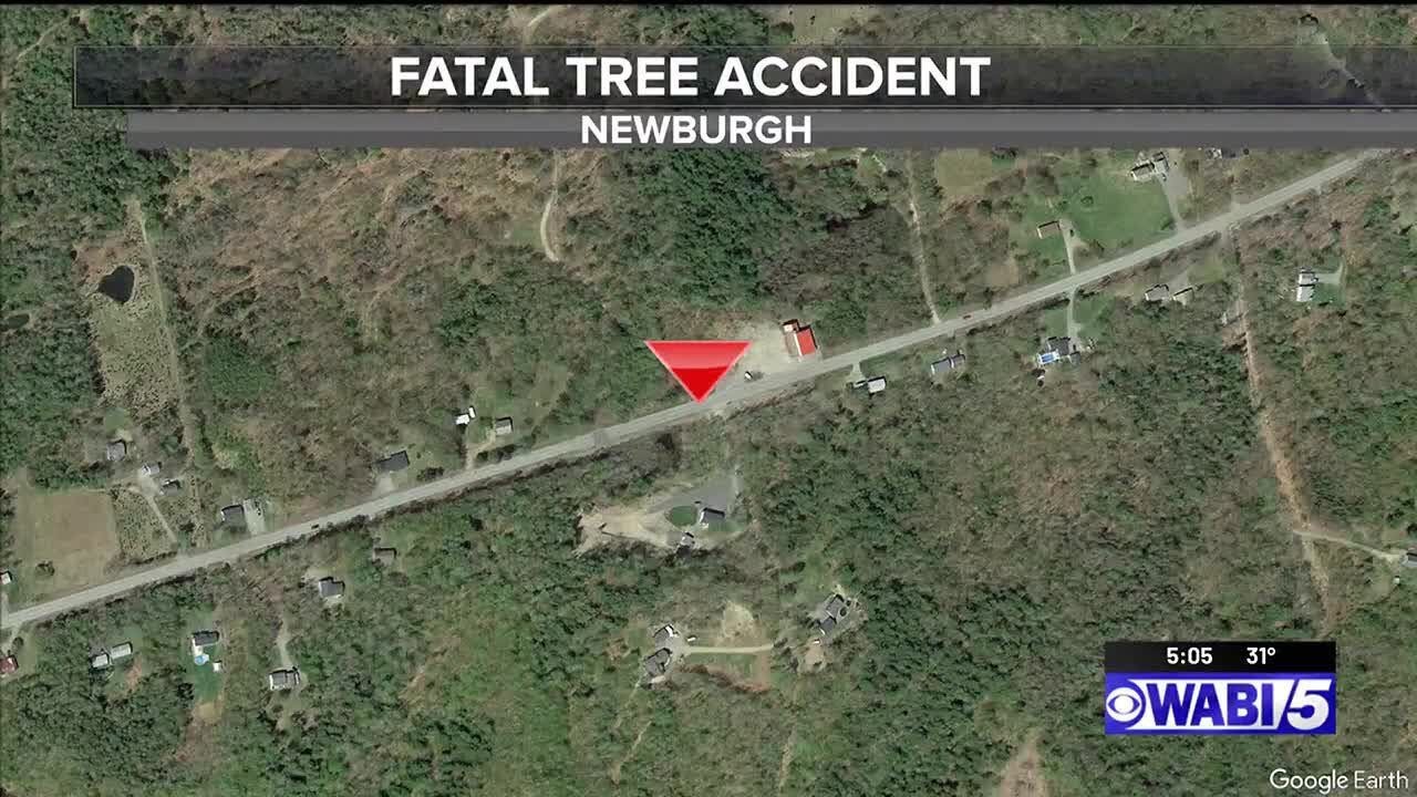 Newburgh man dies after a tree falls on him - YouTube