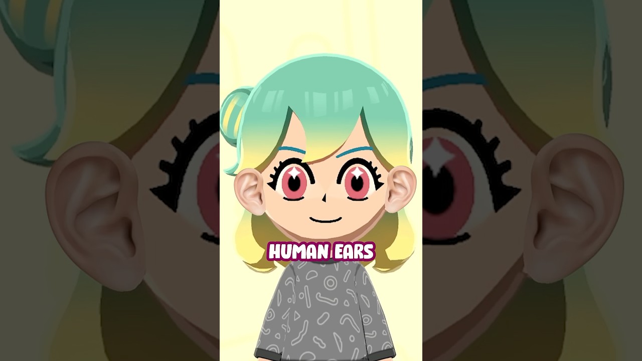 How To Mii RoseDoodle In Tomodachi Life