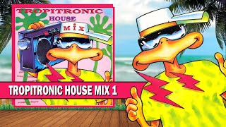 Tropitronic House Mix Vol.1 (Magenta)