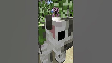 I Found A Minecraft Mod That Makes Cows Match EVERY Biome