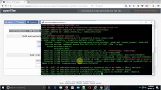 Famous How to Create RAID 5 iSCSI volume on Openfiler and mount volume on Linux Part-3 Net Worth