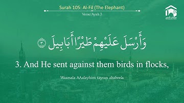 Quran 105 Surah Al Fil سورة الفيل Sheikh Mohammad Ayub