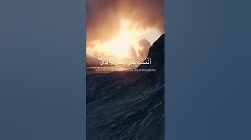 فَتَبَسَّمَ ضَاحِكًا مِنْ قَوْلِهَا | سورة النمل