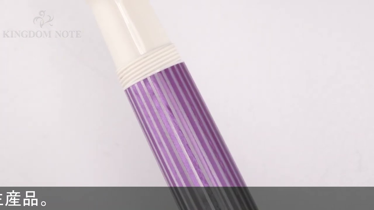 Pelikan ペリカン 万年筆 スペシャルエディション スーベレーン M600 
