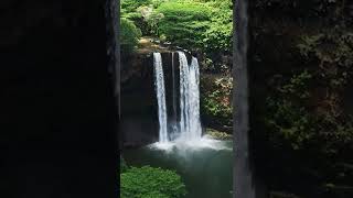 Amazon jungle burner wallpaper 9 screenshot 2