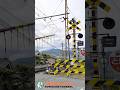【踏切 電車】なにが通るかな???【ふみきりショート動画263】 #shorts
