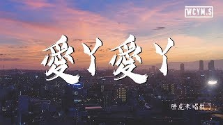 胖虎来唱歌了 - 爱丫爱丫 Cover By2動態歌詞Lyrics Video