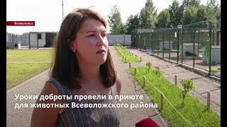 Ветврач и кинолог провели урок доброты для детей в приюте для животных Всеволожского района