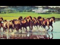 The Soulbreaker Company - The Kid Out Of His Land