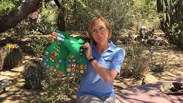 Learn how to be a citizen scientist through Nature