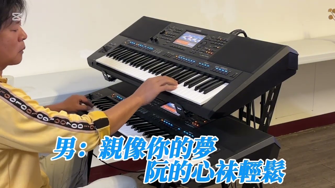 雪中紅（雙電子琴演奏）