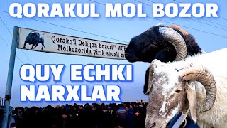 BUXORO QORAKUL MOL BOZOR. 04.02.2024/QUY ECHKI NARXLAR QIMMATMI?