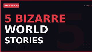 5 Bizarre Things That Happened Around the World This Week