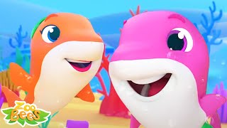 baby shark song fun adventure under the sea kids music baby dance song