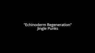 Echinoderm Regeneration - JINGLE PUNKS #music #cinematic