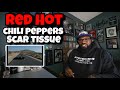 Red Hot Chili Peppers - Scar Tissue | REACTION