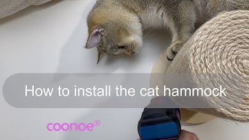 How To Install The Cat Hammock