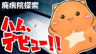 星乃歌カズの配信のサムネイル画像