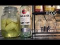 [暮らし]パイナップルとレモンのお酒/ホワイトラムで漬け込む　VLOG 07