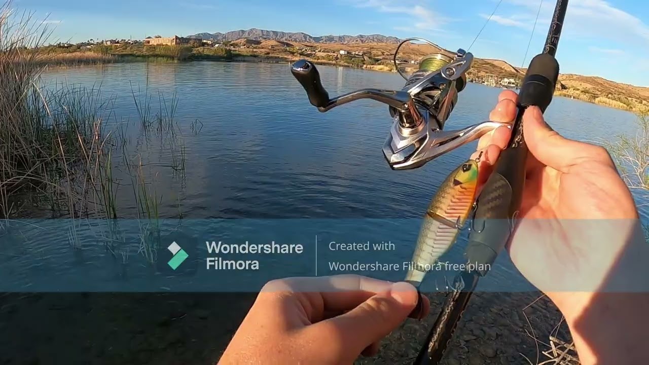 Crazy Bite on this Swimbait!! Crazy bite on This topwater frog.
