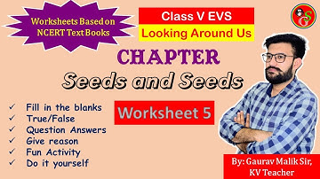 Chapter 5 Seeds and Seeds Worksheet  | NCERT Class 5 EVS | By KV Teacher | School Guide