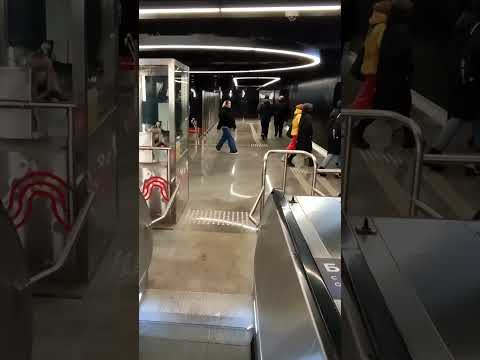 «ЗВЁЗДНОЕ НЕБО» на Кленовом бульваре — новые станции метро в Москве           #метро #москва