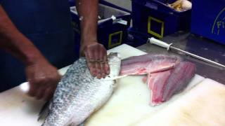 barramundi fillets in 45 sec by piula tonga @ chullora fish market screenshot 5