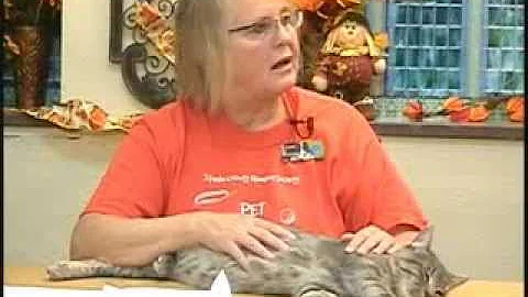 Owatonna Today show 09 18 2013